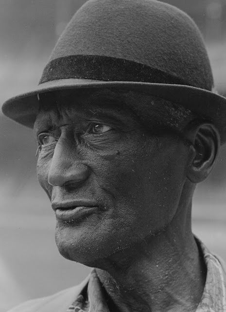 Portraits of the Negro Leagues