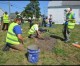 The dig for Hamtramck’s past continues with WSU students The dig for Hamtramck’s past continues with WSU students