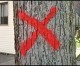 In Hamtramck, it’s not easy being green or a tree In Hamtramck, it’s not easy being green or a tree
