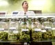 City still working on regulation ordinance for marijuana dispensaries City still working on regulation ordinance for marijuana dispensaries