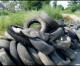 Ethnic slurs and tire dumping alleged Ethnic slurs and tire dumping alleged