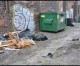 Under cover of darkness, blight festers in the city Under cover of darkness, blight festers in the city