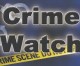 Summer crime watch: trash cans and carjackings Summer crime watch: trash cans and carjackings