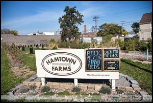 Hamtown Farms is getting ready for another growing season at their site on Lumpkin and Wyandotte.