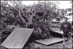 Many large trees were uprooted and fell on houses during the tornado. It took weeks to clear the mess and repair household roofs.