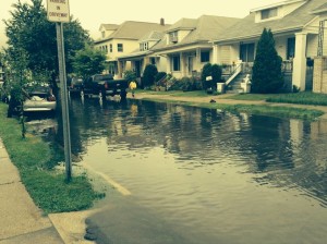 On Aug. 11 Hamtramck and the tri-county area were hit with a massive rain storm that caused widespread flooding. Thousands of households were forced to throw out sewer-contaminated possessions.