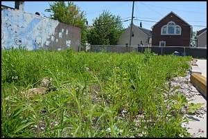 City Councilmember Anam Miah is calling for an investigation into the sale of a city-owned lot on Caniff to a local developer without going through a public auction. 